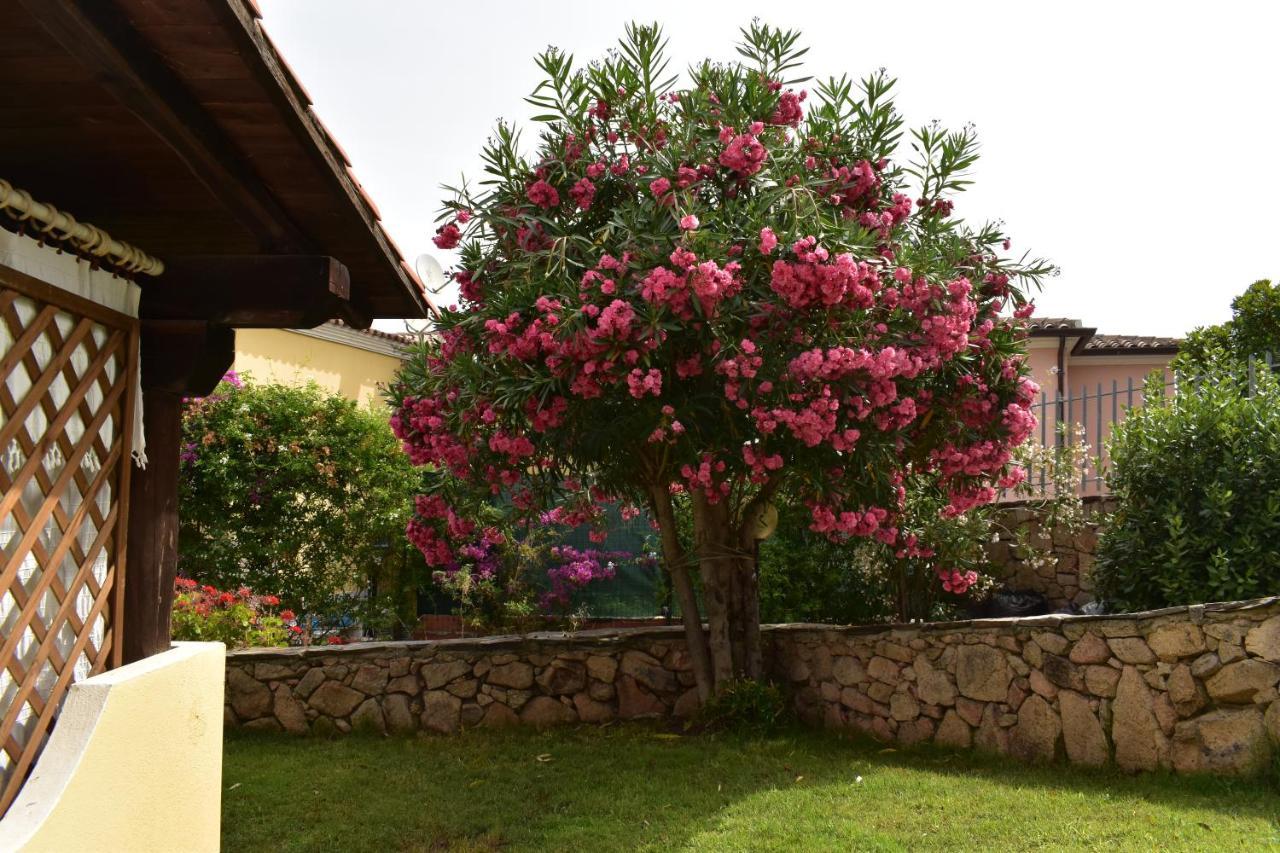 Splendida Villetta Tavolara 1 Vaccileddi 외부 사진